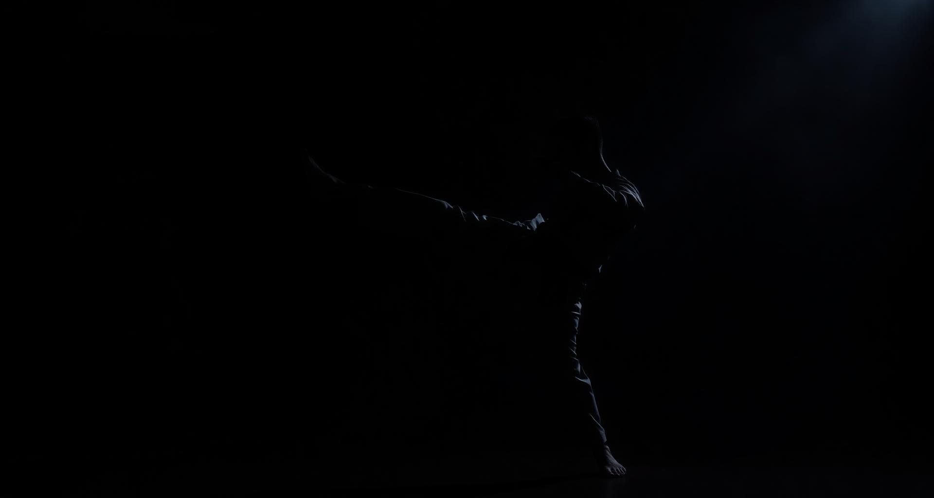 Martial artist training in the dojo under dramatic lighting